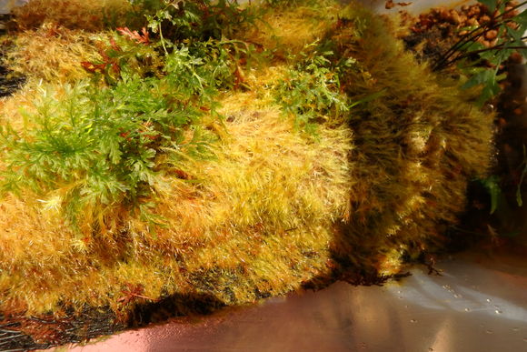 d0187020_1314384.jpg