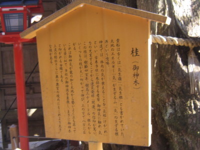 d0162225_13522064.jpg