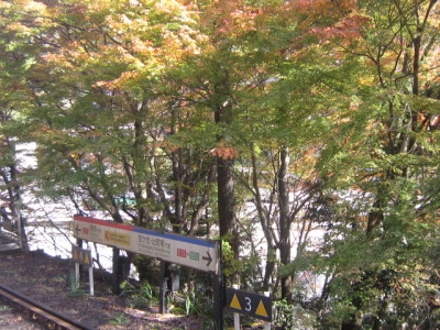 d0162225_13551472.jpg