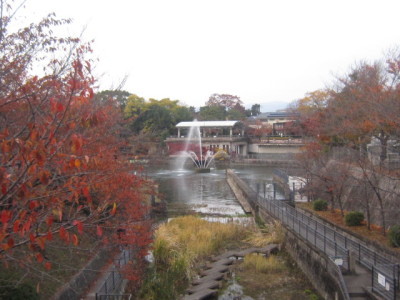 d0162225_16261179.jpg