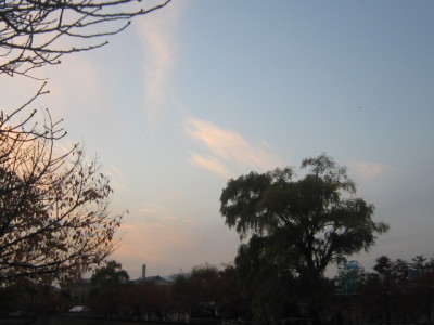 d0162225_16264813.jpg