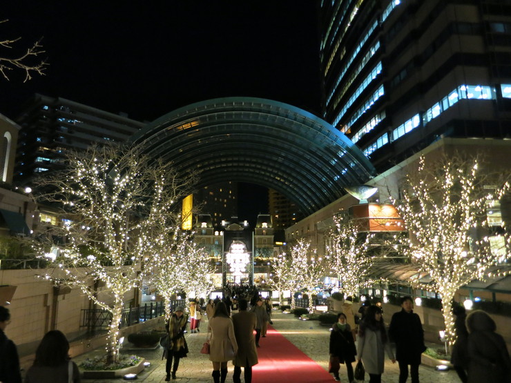 d0172227_951831.jpg