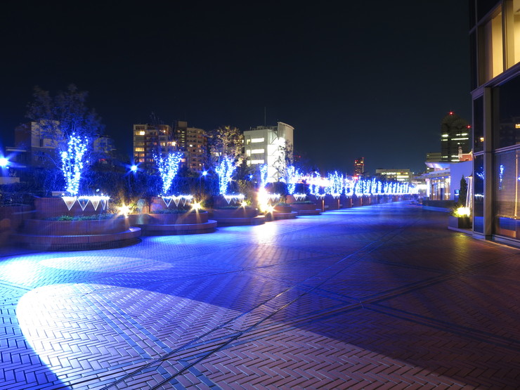 d0172227_9532138.jpg