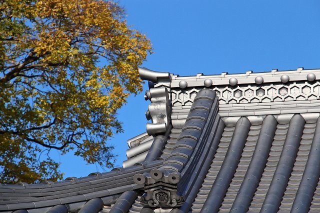 a0242438_21160923.jpg