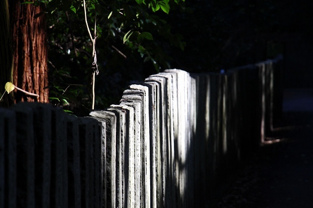 a0242438_21161727.jpg