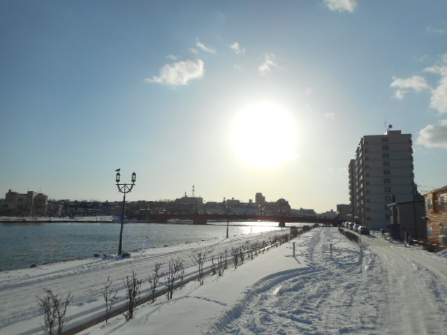 a0156548_21090378.jpg