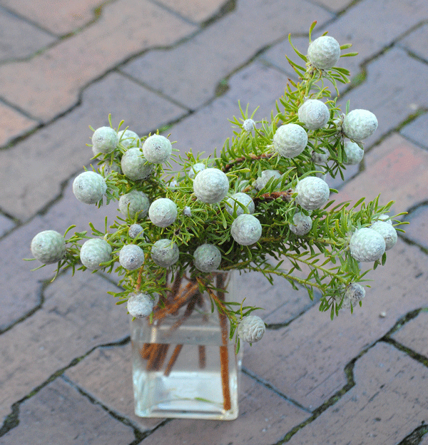 a0001354_20520128.gif