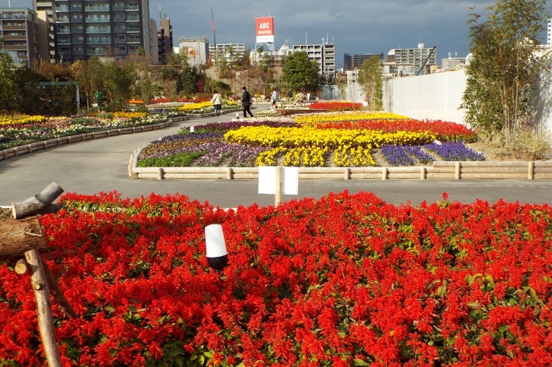 a0355356_11155204.jpg