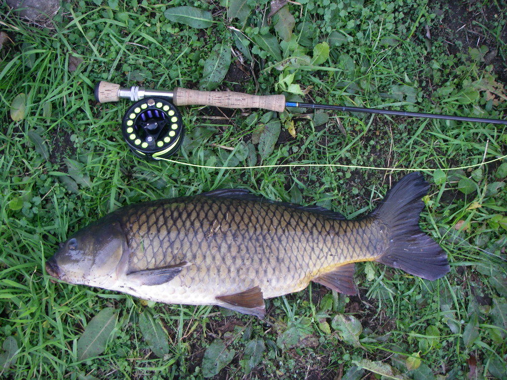 a0130057_01010787.jpg