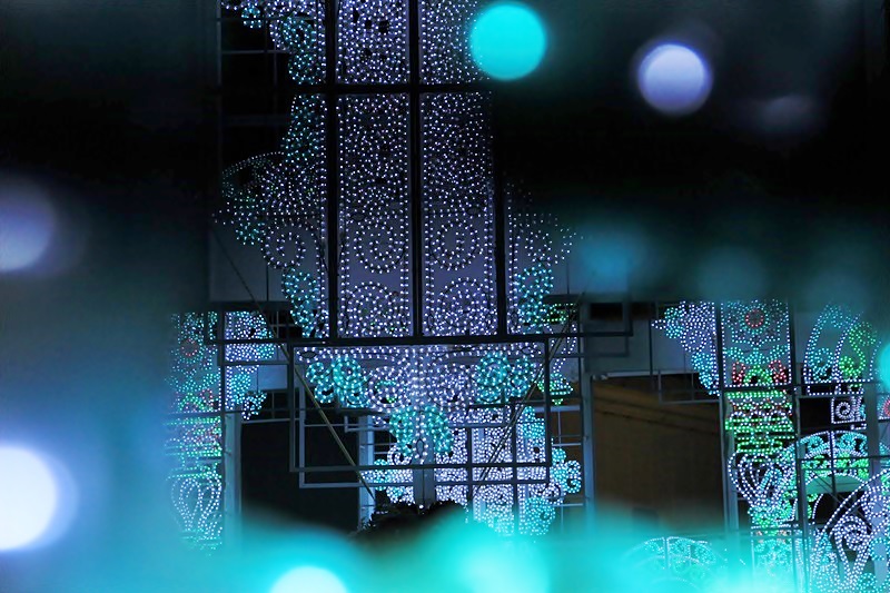 a0167759_0415858.jpg