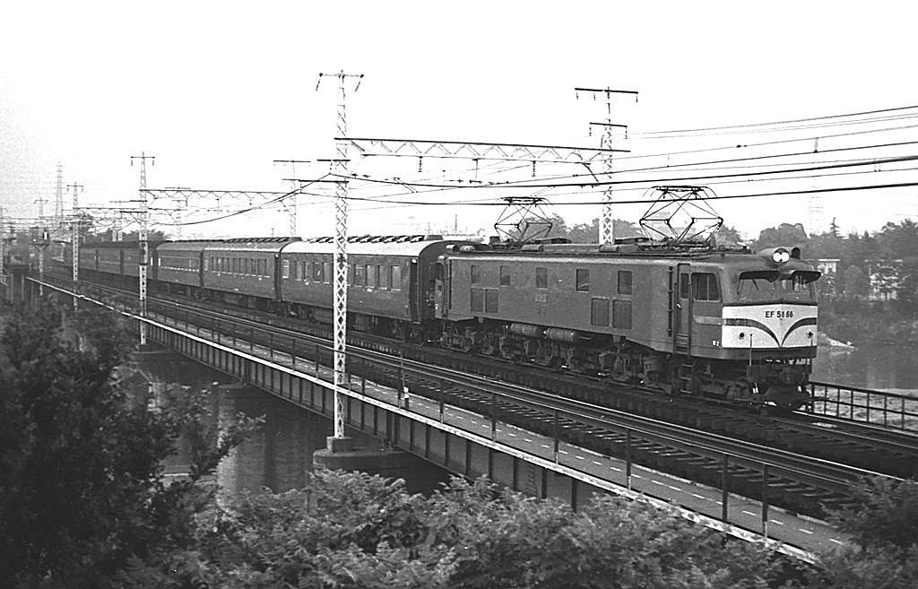d0336159_20510156.jpg