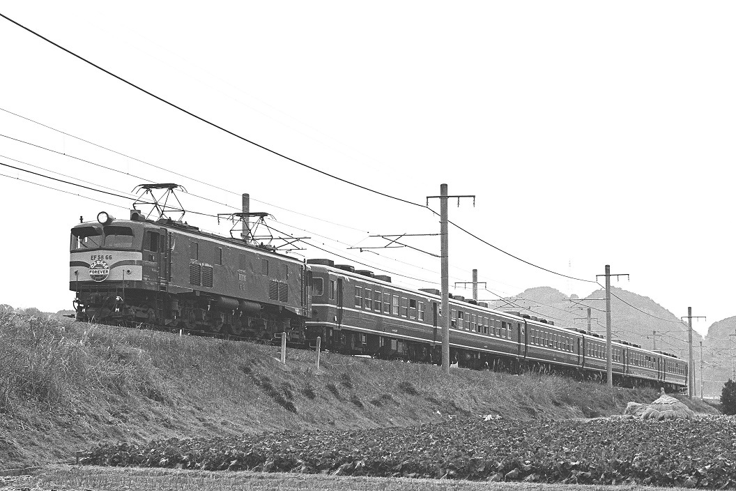 d0336159_20550451.jpg