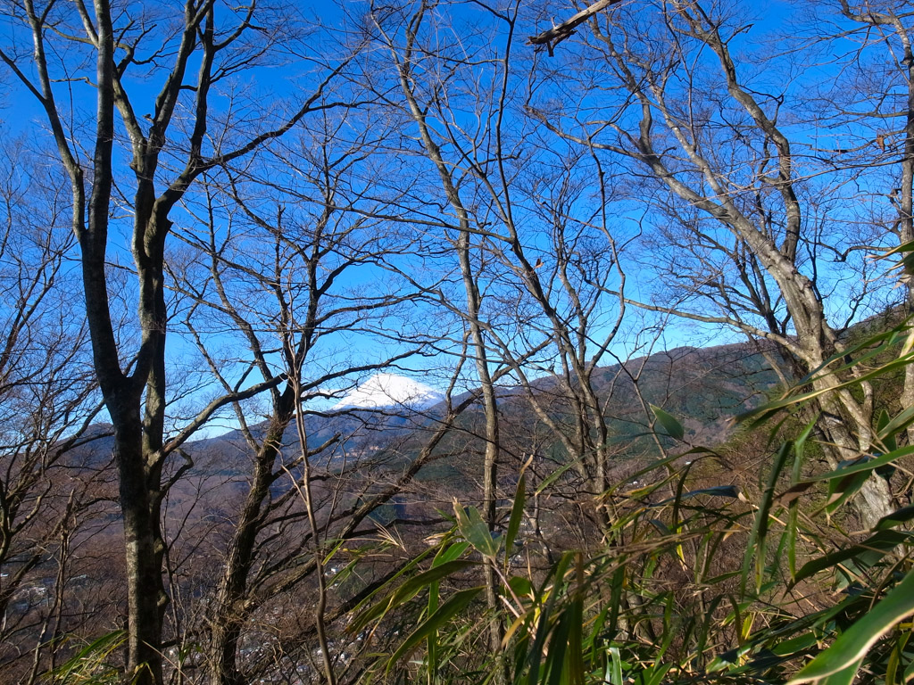 b0247073_23333973.jpg