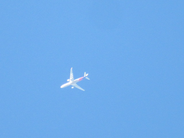 d0109373_2381993.jpg