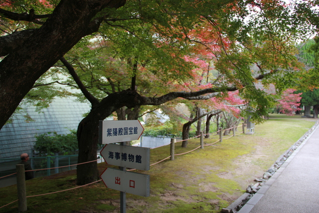 f0098083_17582825.jpg