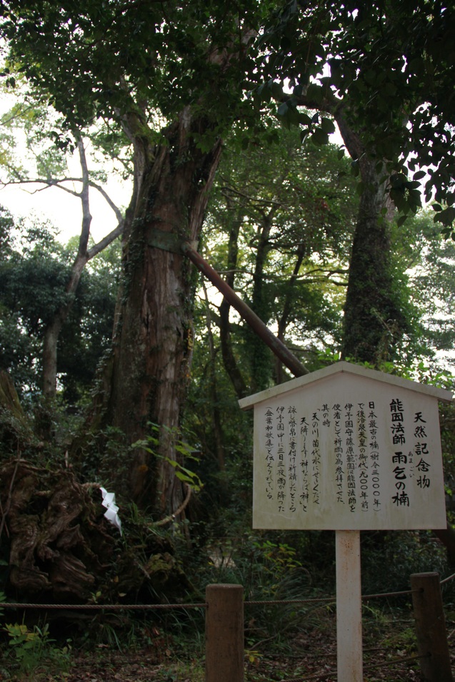 f0098083_18204327.jpg