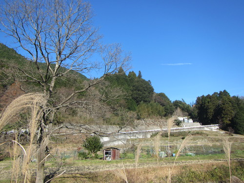 a0251786_2315664.jpg