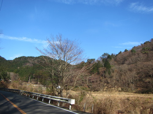 a0251786_2384117.jpg