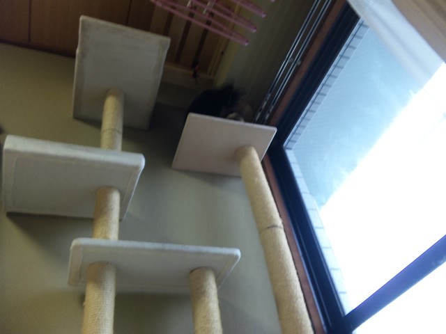 a0350686_17085722.jpg