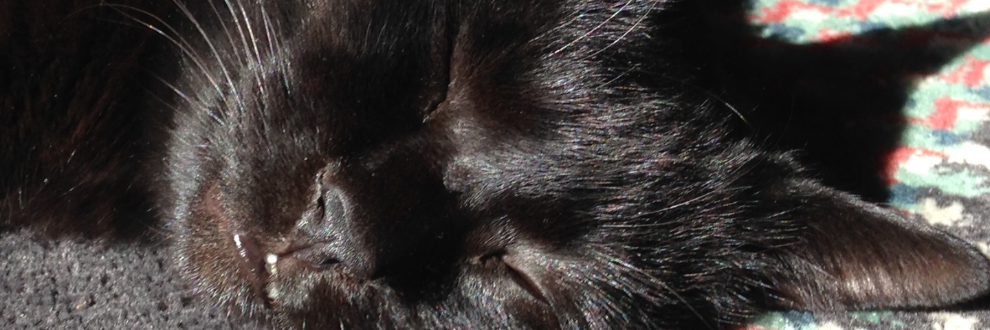 c0170789_13414860.jpg