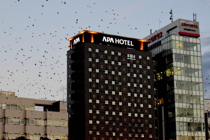 a0127090_10132028.jpg
