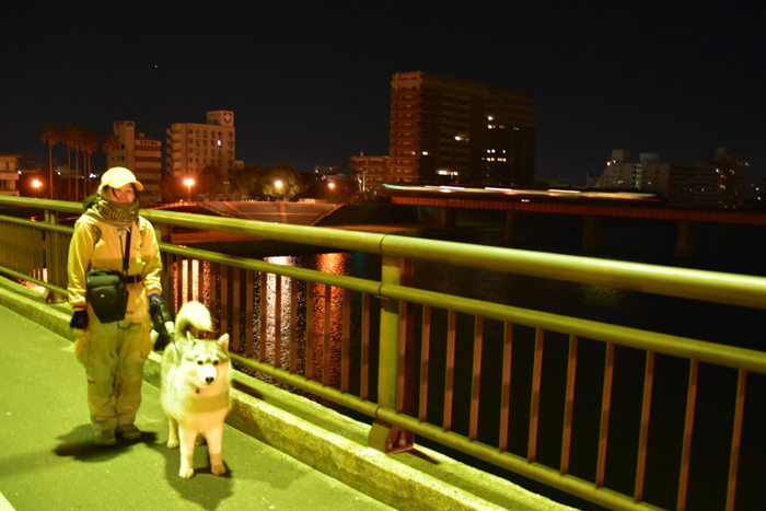 c0049299_21470038.jpg