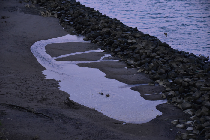 c0049299_21563434.jpg
