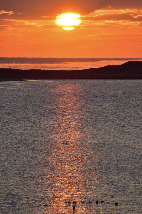 c0049299_22130766.jpg