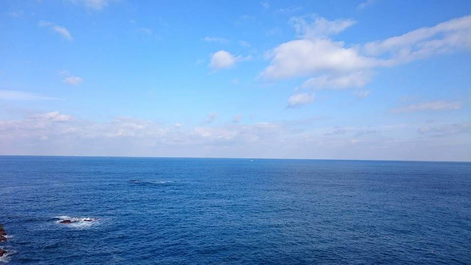 f0061705_1651291.jpg