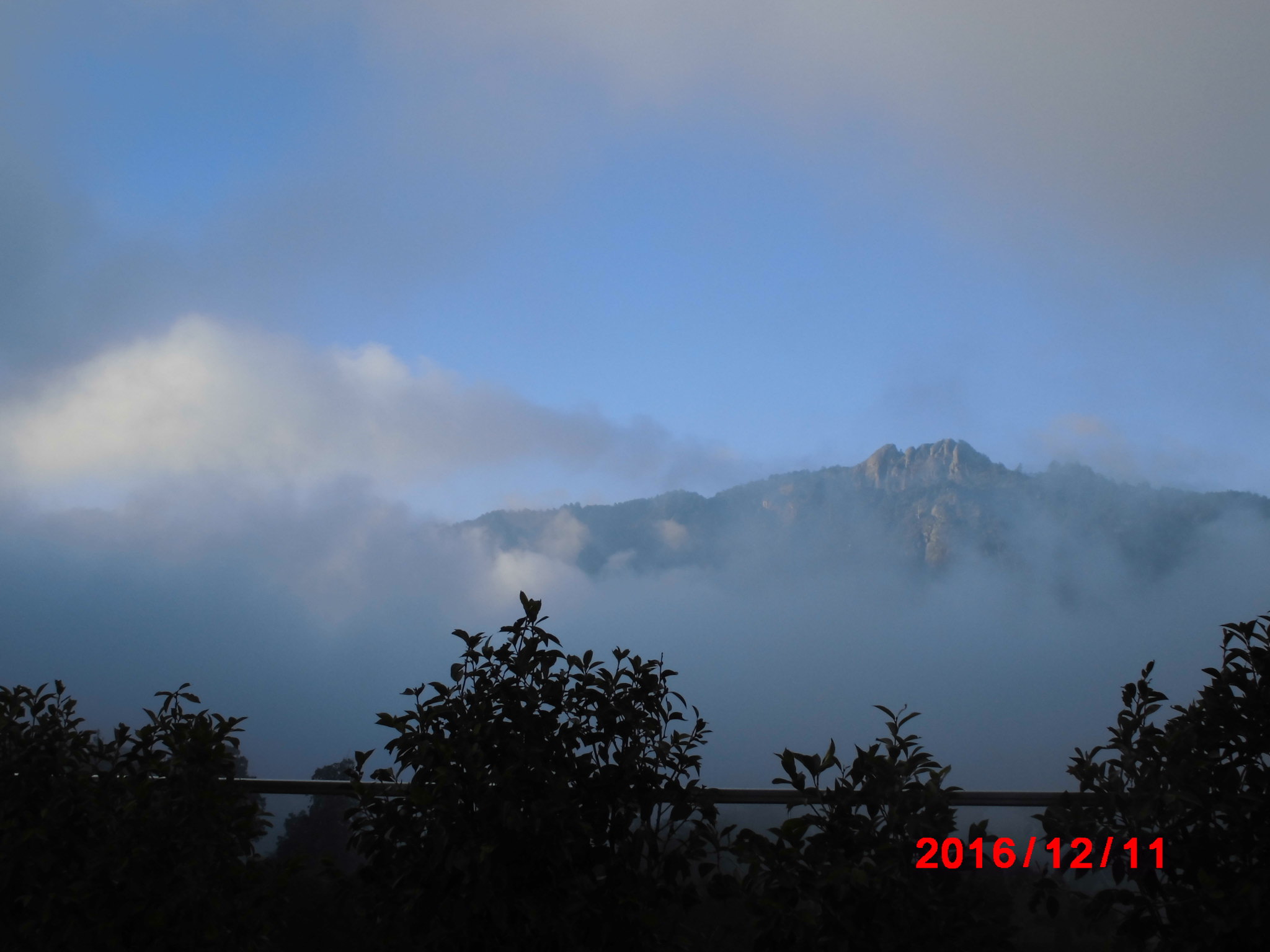 a0019212_17223271.jpg