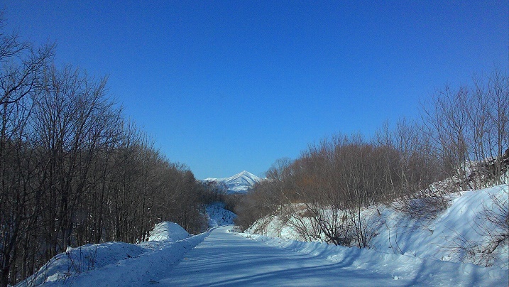 c0188229_11434659.jpg