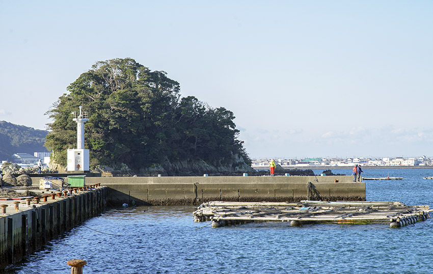 d0147530_1116431.jpg