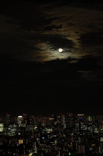 c0148238_12413826.jpg