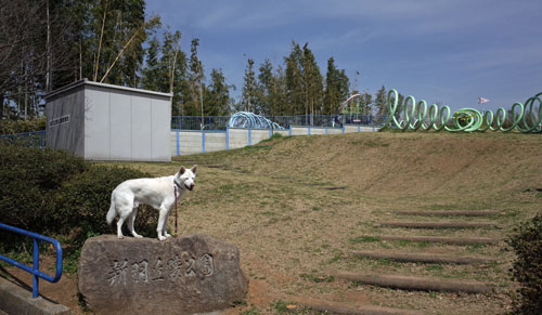 a0117039_20431439.jpg