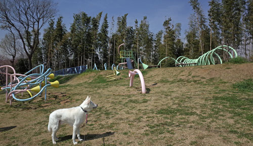 a0117039_20443119.jpg