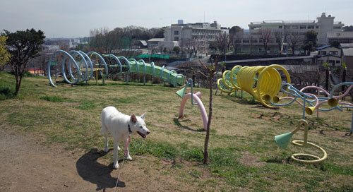 a0117039_2045565.jpg