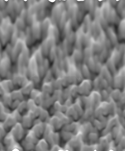 b0232447_22322012.png
