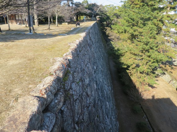 f0202151_2216377.jpg