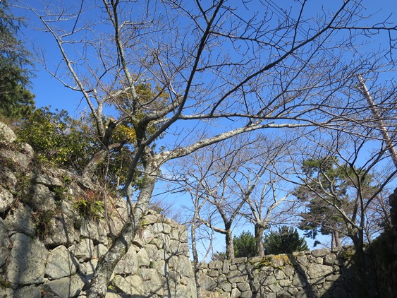 f0202151_22202171.jpg