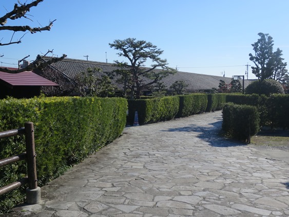 f0202151_225118.jpg