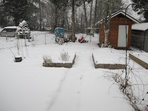 b0090654_12142396.jpg