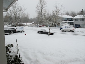 b0090654_12144627.jpg