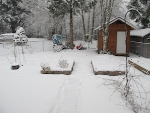 b0090654_12145651.jpg