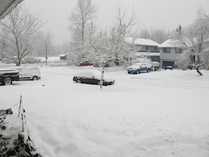 b0090654_12151475.jpg