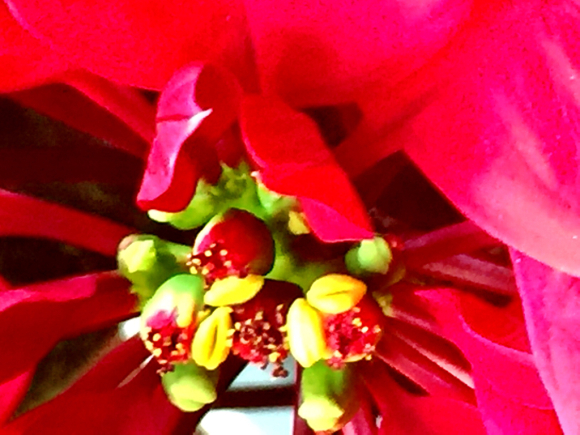 b0181457_06415689.jpg