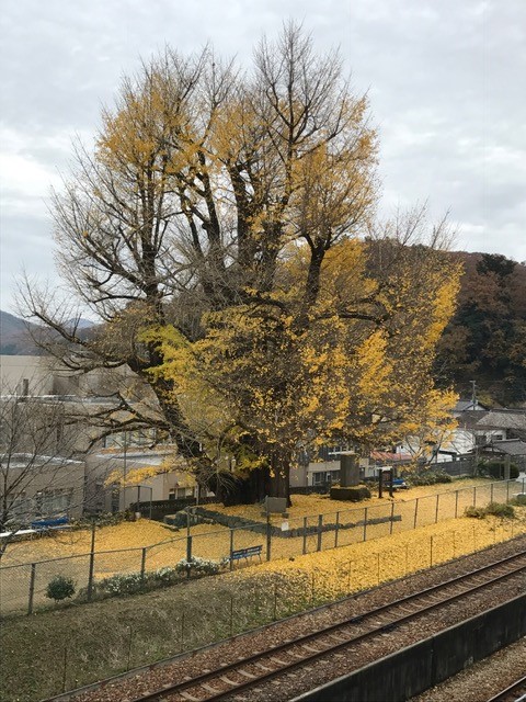 c0214359_2153589.jpg