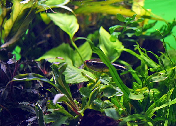 c0218063_20163378.jpg