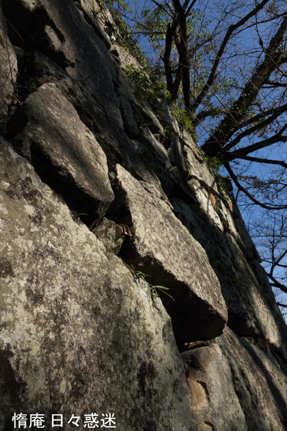 e0346064_19274667.gif