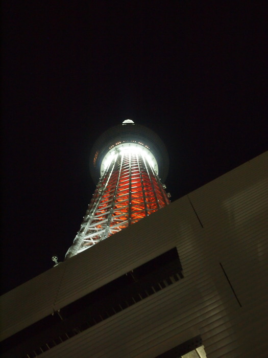 a0073065_738558.jpg