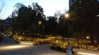 d0033068_22364461.jpg
